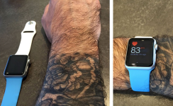 8504 8504