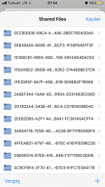 513267E0-05E2-43B0-988C-374A0F3A0ABD.png